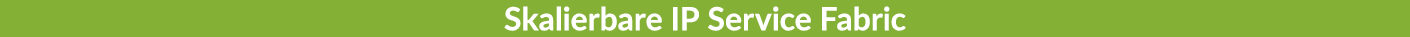 Skalierbare IP Service Fabric