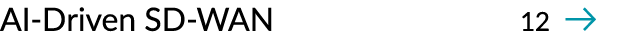 AI Driven SD WAN 12 ￼