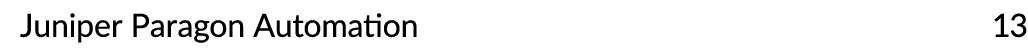 Juniper Paragon Automation 13