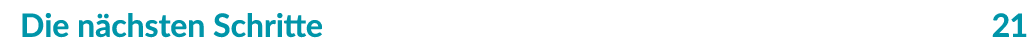 Die n chsten Schritte 21