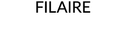 FILAIRE