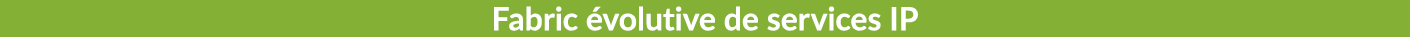 Fabric volutive de services IP 