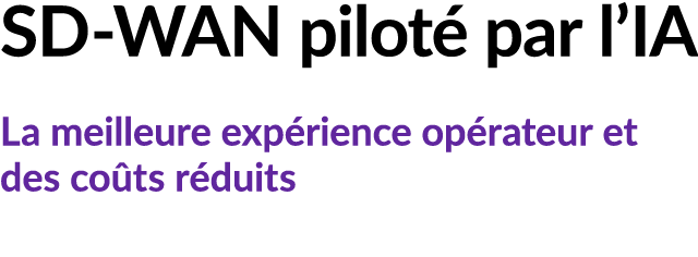 SD WAN pilot par l’IA La meilleure exp rience op rateur et des co ts r duits