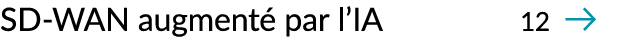 SD WAN augment par l’IA 12 ￼
