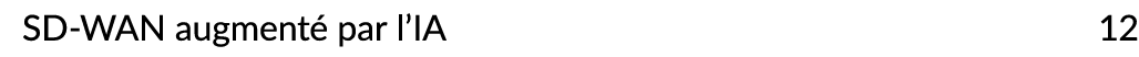 SD WAN augment par l’IA 12