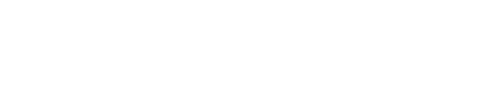 SECURITY SPECIALIZATION
