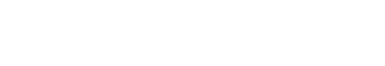 SERVICES SPECIALIZATION