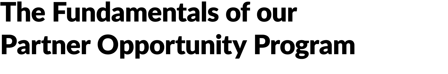 The Fundamentals of our Partner Opportunity Program