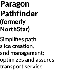 Paragon Pathfinder (formerly NorthStar) Simplifies path, slice creation, and management; optimizes and assures transp...