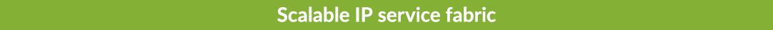 Scalable IP service fabric