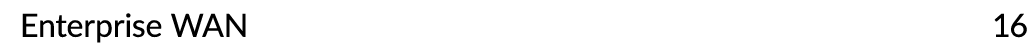 Enterprise WAN 16