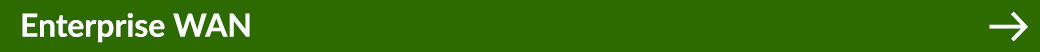 Enterprise WAN ￼