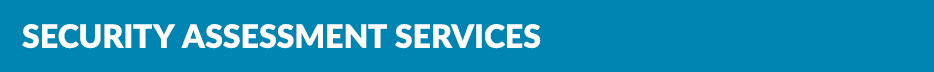 Security Assessment services