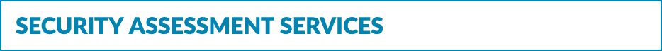 Security Assessment services