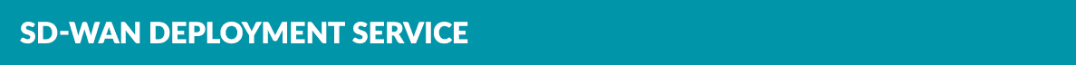 SD WAN Deployment Service