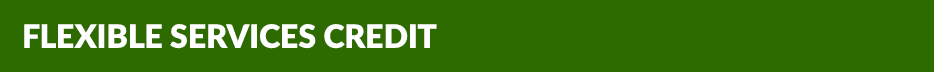 Flexible Services Credit