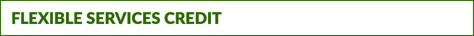 Flexible Services Credit