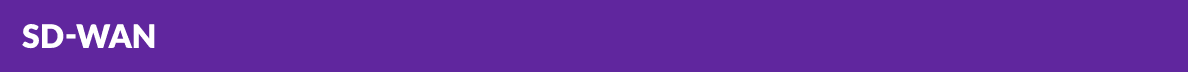 SD WAN
