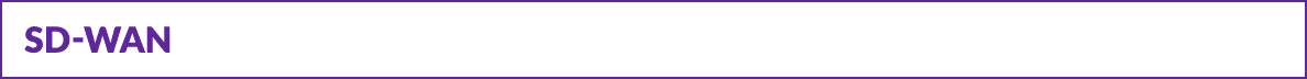 SD WAN