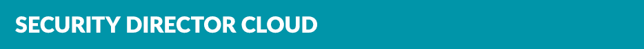 Security Director Cloud