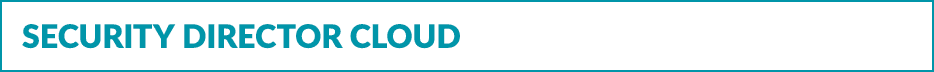 Security Director Cloud