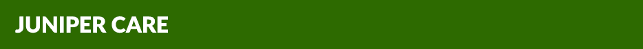 Juniper Care