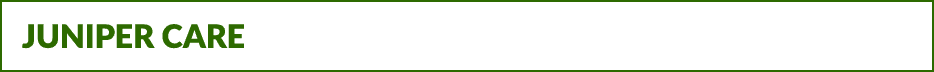 Juniper Care