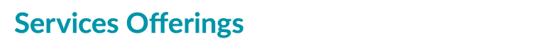 Services Offerings 