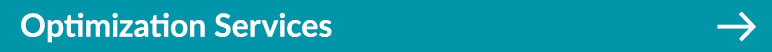Optimization Services ￼