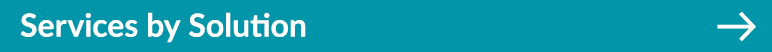 Services by Solution ￼
