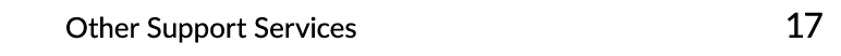 Other Support Services 17