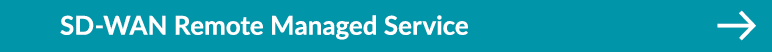 SD WAN Remote Managed Service ￼