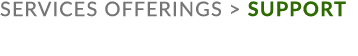 services offerings  support
