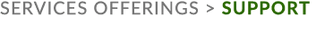 services offerings  support