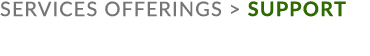 services offerings  support