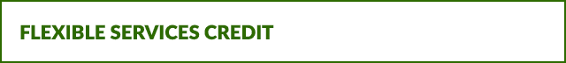 Flexible Services Credit