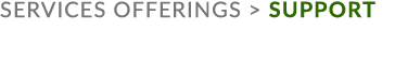 services offerings  support