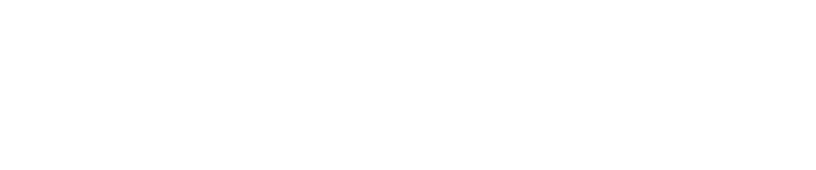 Success Story: SD WAN Solution