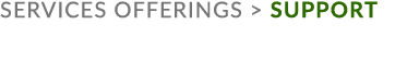 services offerings  support
