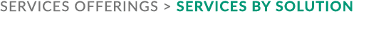 services offerings  Services by solution