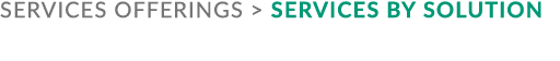services offerings  Services by solution