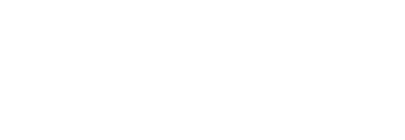 Success Story: SD WAN Solution