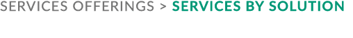services offerings  Services by solution