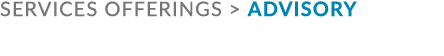 services offerings  Advisory