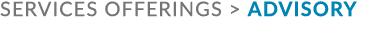 services offerings  Advisory