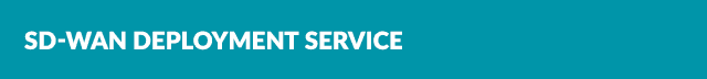 SD WAN Deployment Service