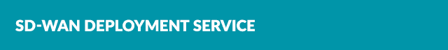 SD WAN Deployment Service
