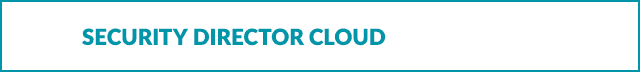 Security Director Cloud